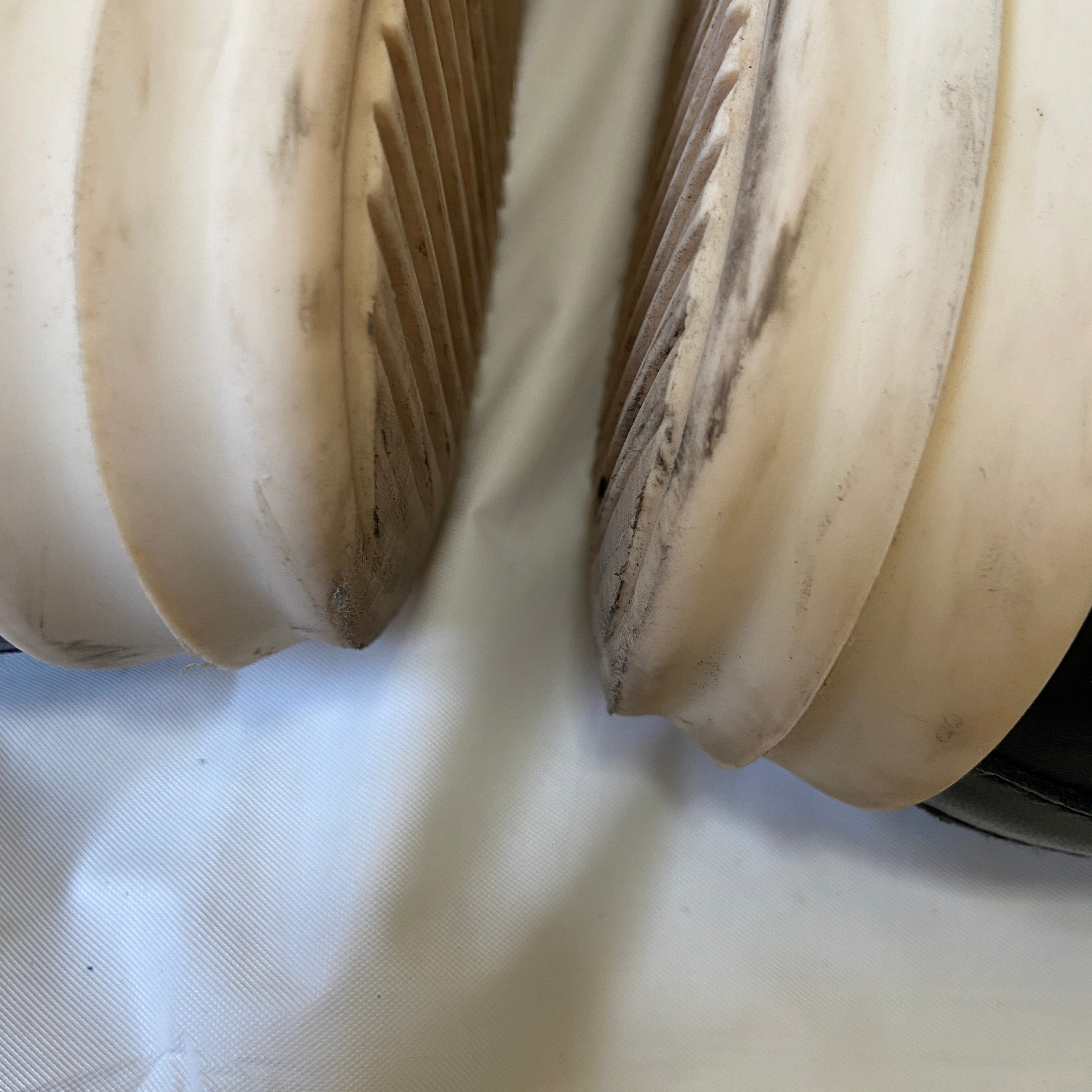 Rick owens leather ramones 41 – Dusty Archive